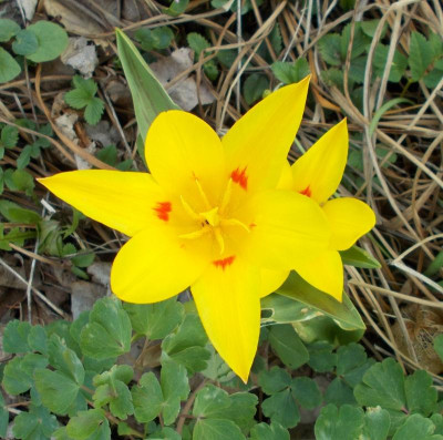 2017-03-30 12.29.07.jpg