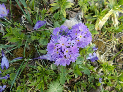2017-03-30 12.33.37.jpg