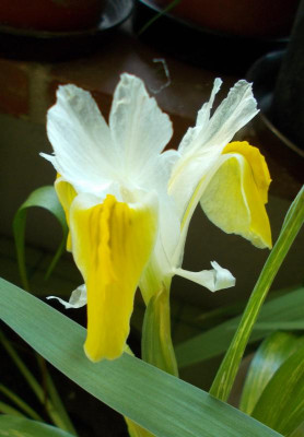2017-03-29 09.53.51.jpg