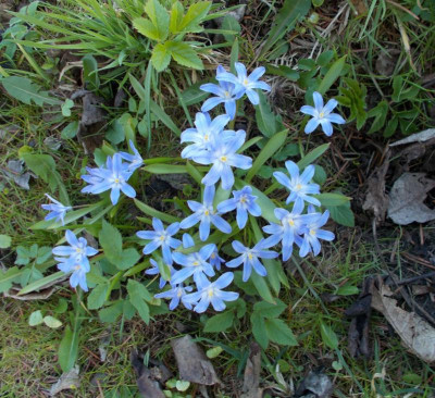 2017-03-26 11.06.37.jpg