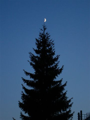 27.11.2006.1.JPG