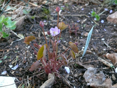 b0104225_800.jpg