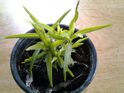 20170402_114938.jpg