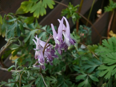b0104205_800.jpg