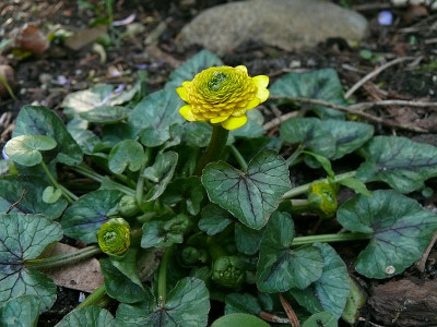 b0104218_800.jpg