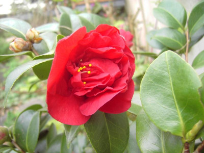 PICT1646.JPG