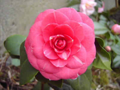 PICT1641.JPG