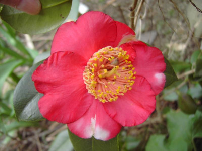 PICT1643.JPG