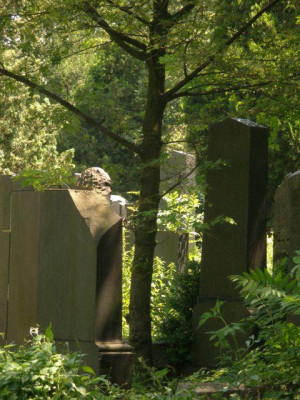 wien_zentralfriedhof_alter_juedischer_friedhof3.jpg