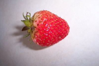 100_3055.jpg