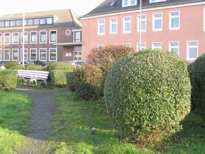 126_2649BirkeUmgebung.jpg