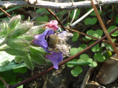P1060724.JPG
