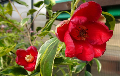 DSC04722.jpg