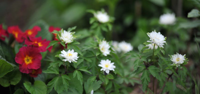 B00_1569.jpg
