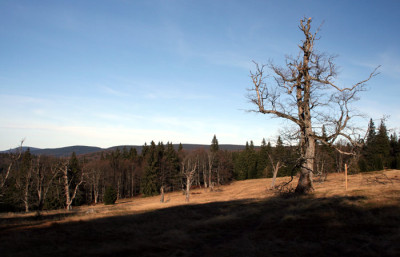 Schachten-4.jpg