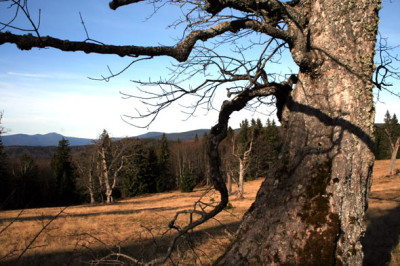 Schachten-5.jpg