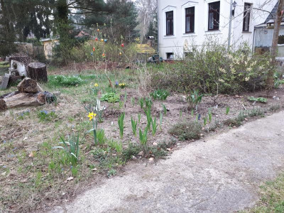 20170405_090447.jpg