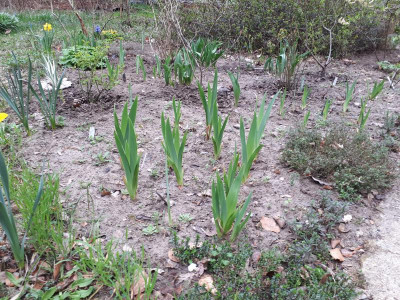 20170405_090506.jpg