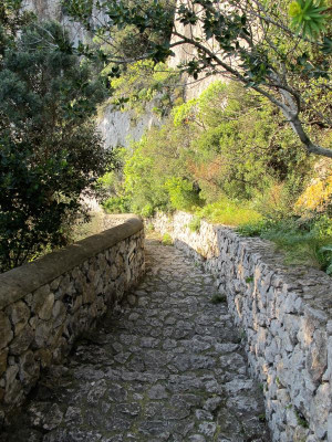 2 Scala Fenicia.jpg