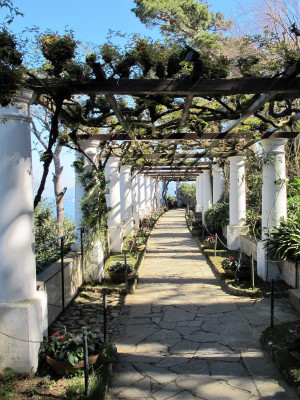 8 Villa San Michele .jpg