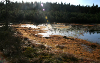 Schachten-15.jpg