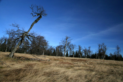 Schachten-17.jpg