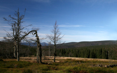 Schachten-10.jpg