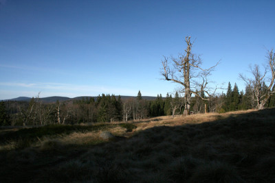 Schachten-20.jpg
