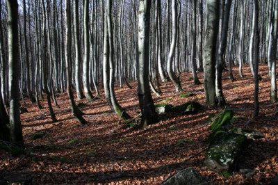 Schachten-9.jpg