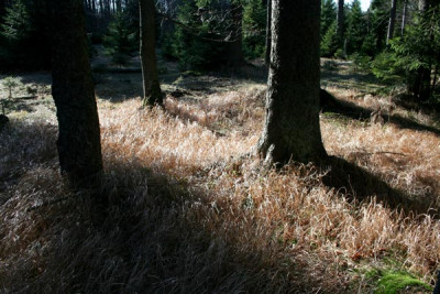 Schachten-19.jpg