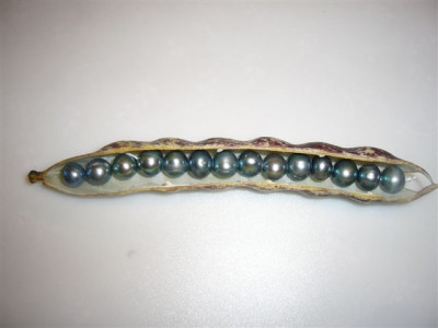 M025.JPG