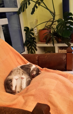 20170405_200706.jpg