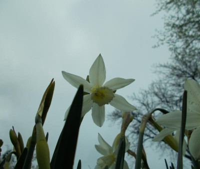2017-04-02 11.50.15.jpg