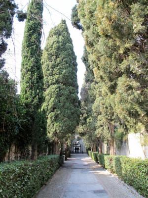 61 Certosa di San Giacomo .jpg