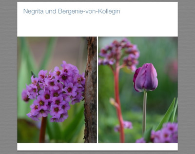 Fotos von Kompress.jpg
