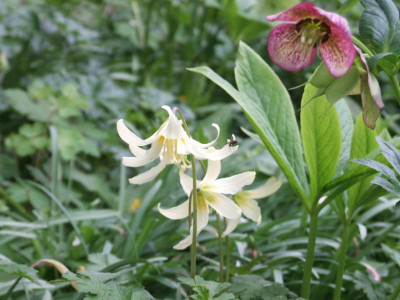 DSCF3696.JPG
