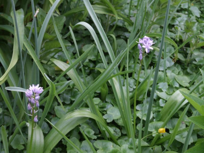 DSCF3701.JPG