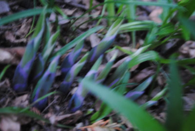 märzapril 032.jpg