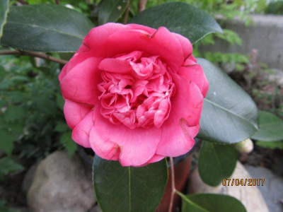 IMG_0890 small.jpg