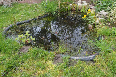 Teich01k.jpg