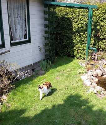 20170409_140014.jpg
