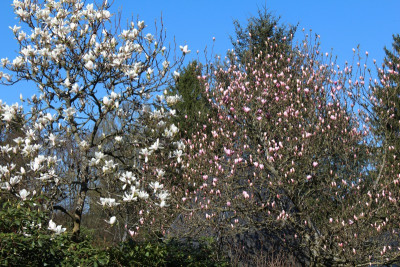 IMG_ß537.jpg