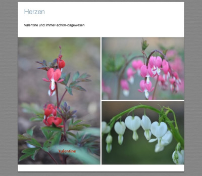 Herzen.jpg
