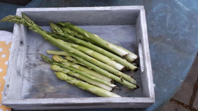 IMG-20170409-WA0016.jpeg