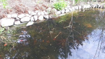 IMG-20170402-WA0002 (1).jpeg