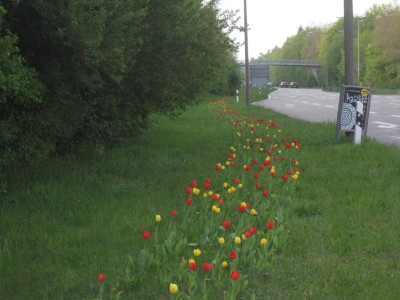 Stadtfarben1.jpg
