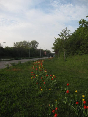 Stadtfarben3.jpg