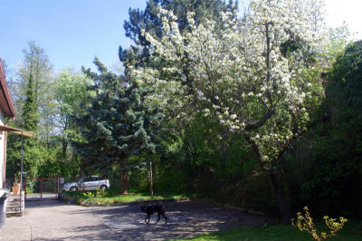 IMGP8095.JPG