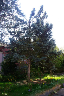 IMGP8107.jpg