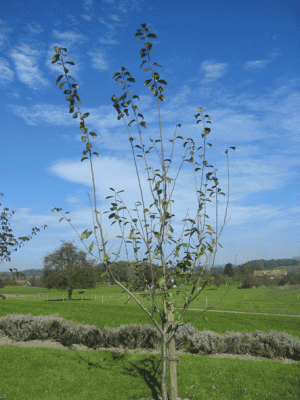 IMG_1169.gif